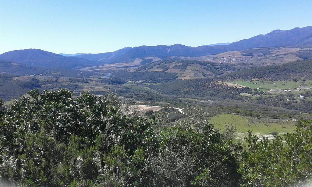 Hotel Rural Sierra De Francia Sotoserrano Exteriör bild