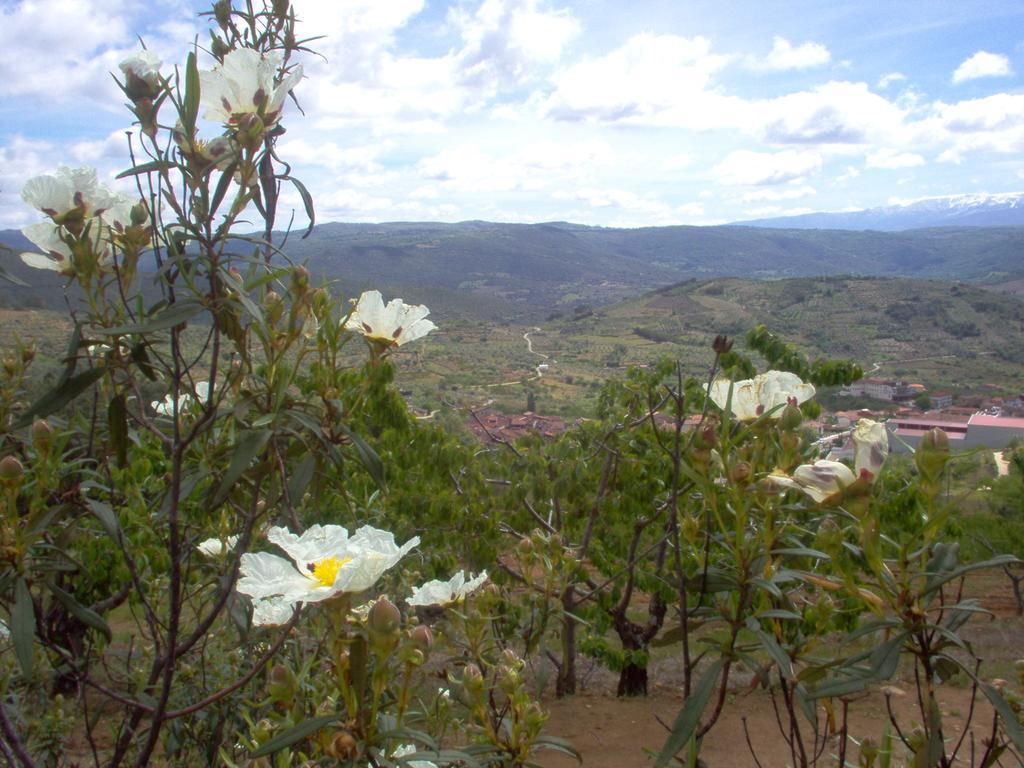 Hotel Rural Sierra De Francia Sotoserrano Exteriör bild